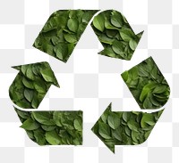 PNG Sign Recycle green plant leaf. AI generated Image by rawpixel.