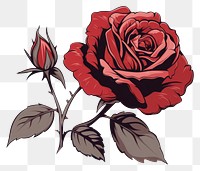 PNG Vector rose flower plant. 