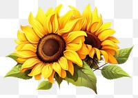 PNG Vector sunflower plant  