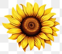 PNG Vector sunflower plant  