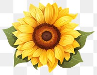 PNG Vector sunflower plant  