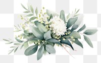 PNG Eucalyptus bouquet flower plant leaf