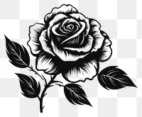 PNG Tattoo png rose drawing flower. 