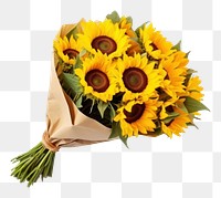 PNG  Sunflower plant white background flower bouquet. 