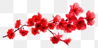 PNG Japanese blossom flower petal
