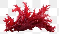 PNG Seaweed red splattered. 