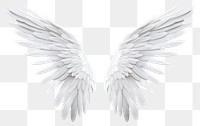 PNG White angel wing bird archangel