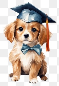 PNG Graduation animal dog portrait. 