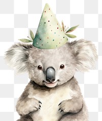 PNG Koala mammal animal hat. 