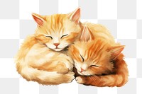 PNG Cats animal mammal kitten. AI generated Image by rawpixel.