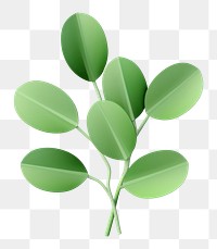 PNG Plant green herbs leaf. AI generated Image by rawpixel.