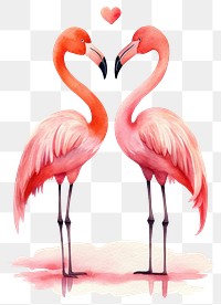 PNG Flamingo standing heart animal bird beak. 