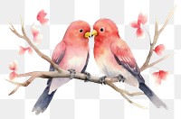 PNG Bird animal beak love. AI generated Image by rawpixel.