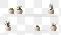 PNG  Wall shelves shelf plant white. AI generated Image by rawpixel.