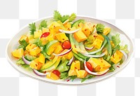 PNG Mango salad plate food meal. 