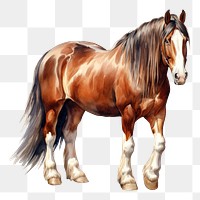 PNG Clydesdale horse stallion mammal animal. 