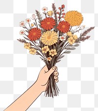 PNG Flowers holding drawing plant. 