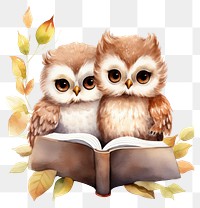 PNG Owls reading animal book. 