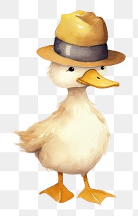 PNG Duck animal cartoon bird. 