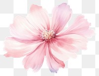 PNG Pink flower blossom dahlia petal. AI generated Image by rawpixel.
