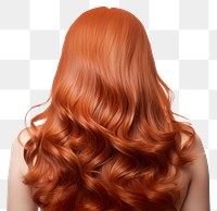 PNG Lively hair adult white background perfection. AI generated Image by rawpixel.
