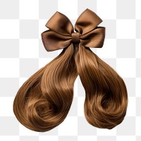 PNG Pigtail brown hair white background accessories hairstyle. AI generated Image by rawpixel.