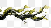 PNG Swaying kelp seaweed white background abstract flowing. AI generated Image by rawpixel.