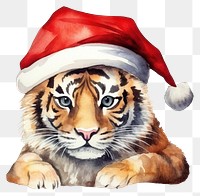 PNG Tiger wearing christmas hat mammal animal  