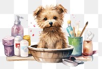 PNG Dog beauty salon dog terrier mammal. 