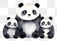 PNG Panda family animal mammal bear. 