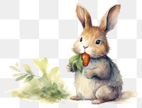 PNG Rabbit eating carrot animal rodent mammal. AI generated Image by rawpixel.