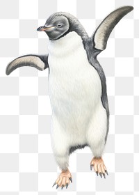 PNG Christmas penguin animal bird rat. 