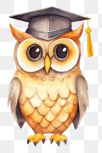 PNG Graduation bird owl intelligence. 