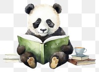 PNG A panda reading books mammal animal paper. 