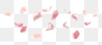PNG pink flower petals effect, transparent background. 