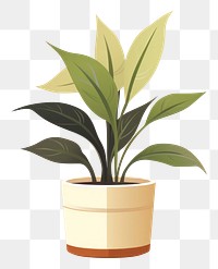 PNG Houseplant leaf flowerpot seedling. 