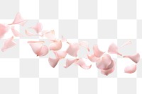 PNG Delicate pastel pink rose petals falling fragility freshness blossom