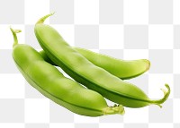 PNG A green pea vegetable plant food. AI generated Image by rawpixel.
