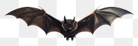 PNG Bat animal flying darkness. AI generated Image by rawpixel.