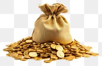 PNG Gold coin bag money