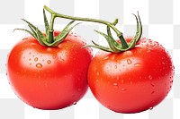 PNG Tomatoes vegetable fruit plant. 