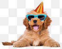 PNG Puppy celebrating sunglasses portrait mammal. AI generated Image by rawpixel.