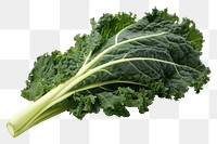 PNG Kale vegetable plant food. 