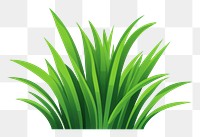 PNG Grass green plant leaf. AI generated Image by rawpixel.