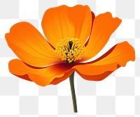 PNG California Poppy flower pollen petal. AI generated Image by rawpixel.
