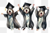 PNG Penguins graduation animal adult. AI generated Image by rawpixel.