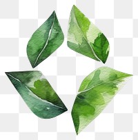 PNG Recycle icon plant leaf shape. AI generated Image by rawpixel.