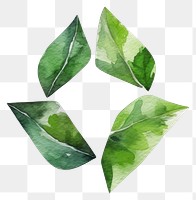 PNG Recycle icon plant leaf shape. AI generated Image by rawpixel.