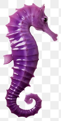 PNG A purple sea horse seahorse animal mammal. AI generated Image by rawpixel.