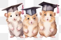 PNG Hamsters wearing graduation animal rat rodent. 